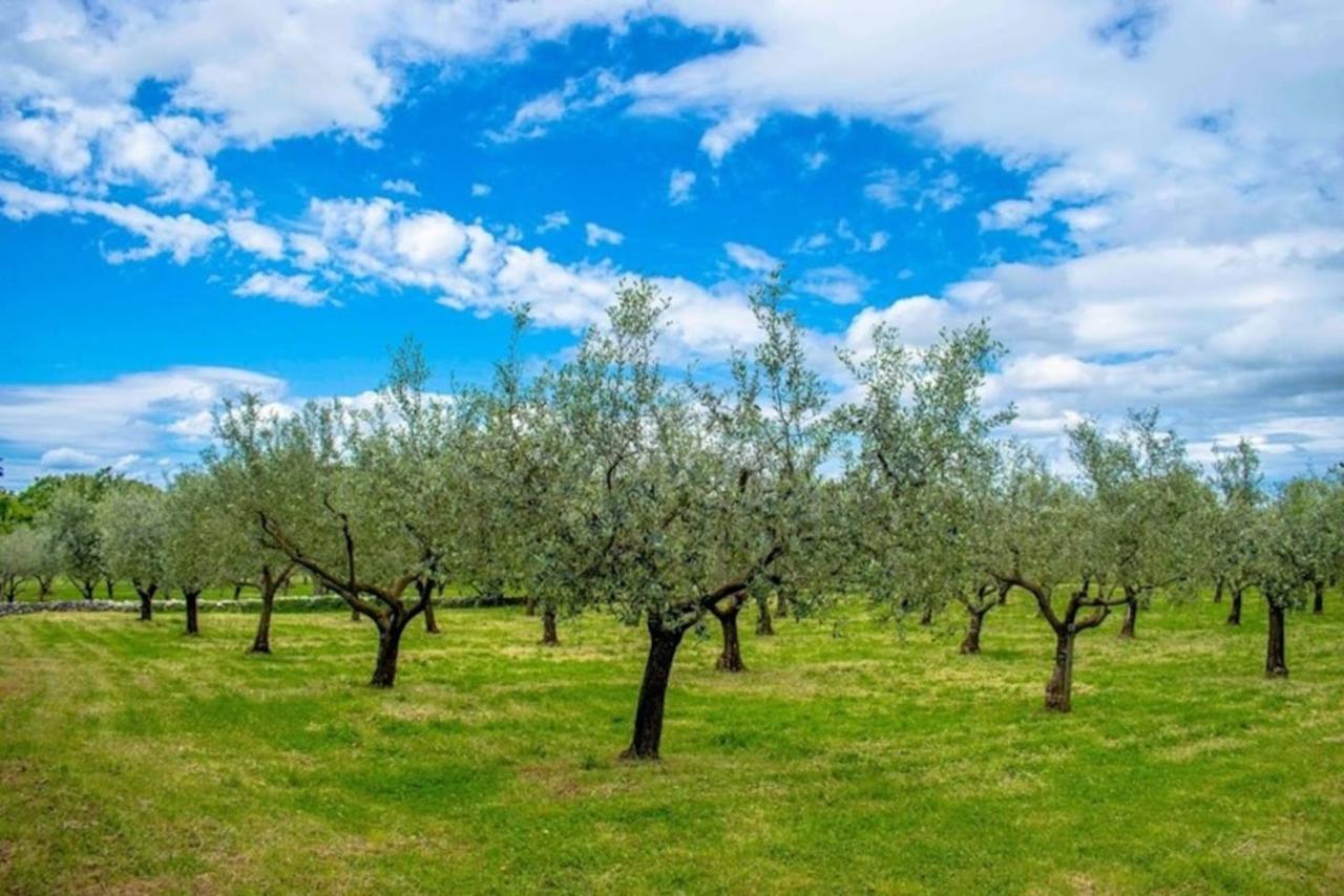 Villa San Polo Max Divšići Buitenkant foto